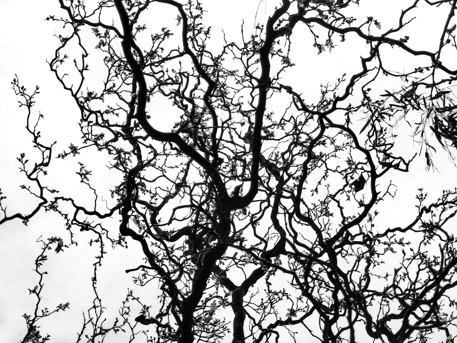 Neuro-Symbolic AI