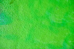 Photo Green AI Practices