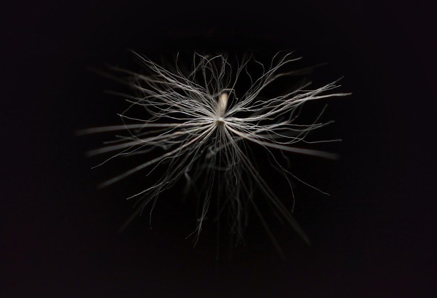 Photo Neuro-Symbolic AI