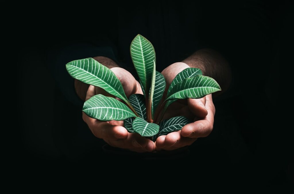 Photo Sustainable Tech Solutions