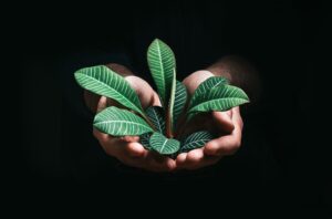 Photo Sustainable Tech Solutions