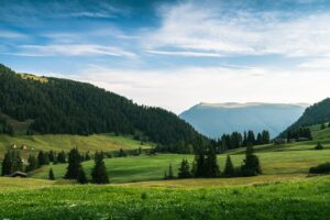 Photo AI Explainability