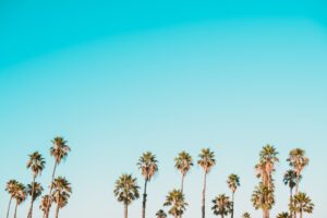 Photo Ethical AI