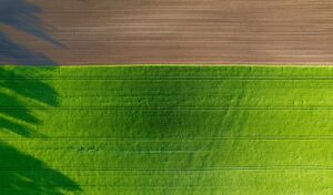 Photo Precision Agriculture