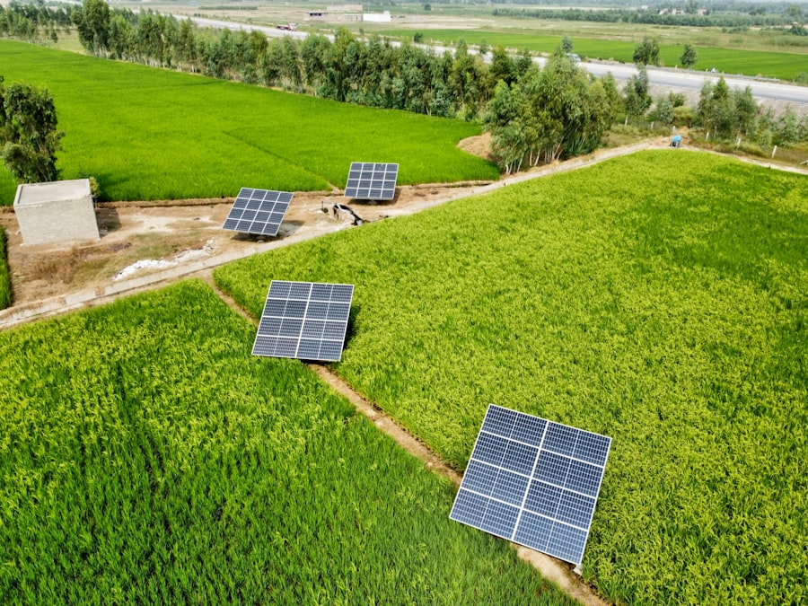 Photo Sustainable Tech Solutions