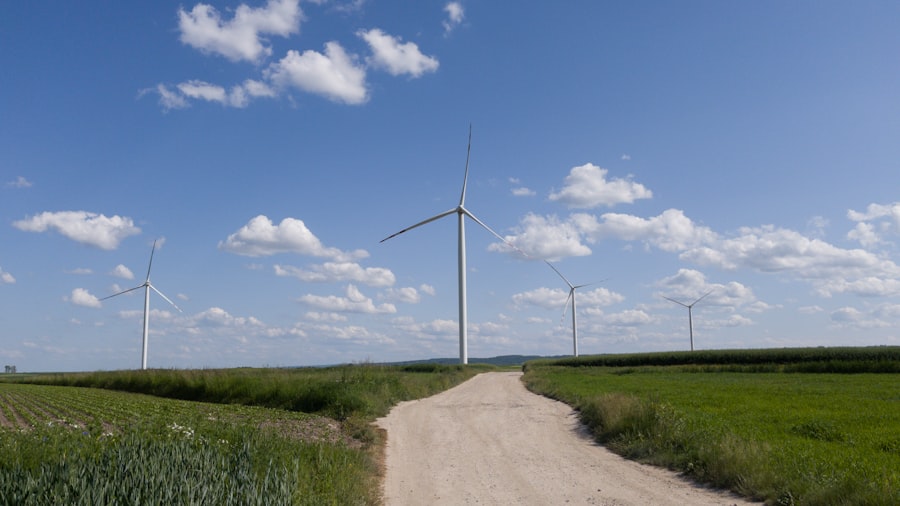 Renewable Energy Optimization