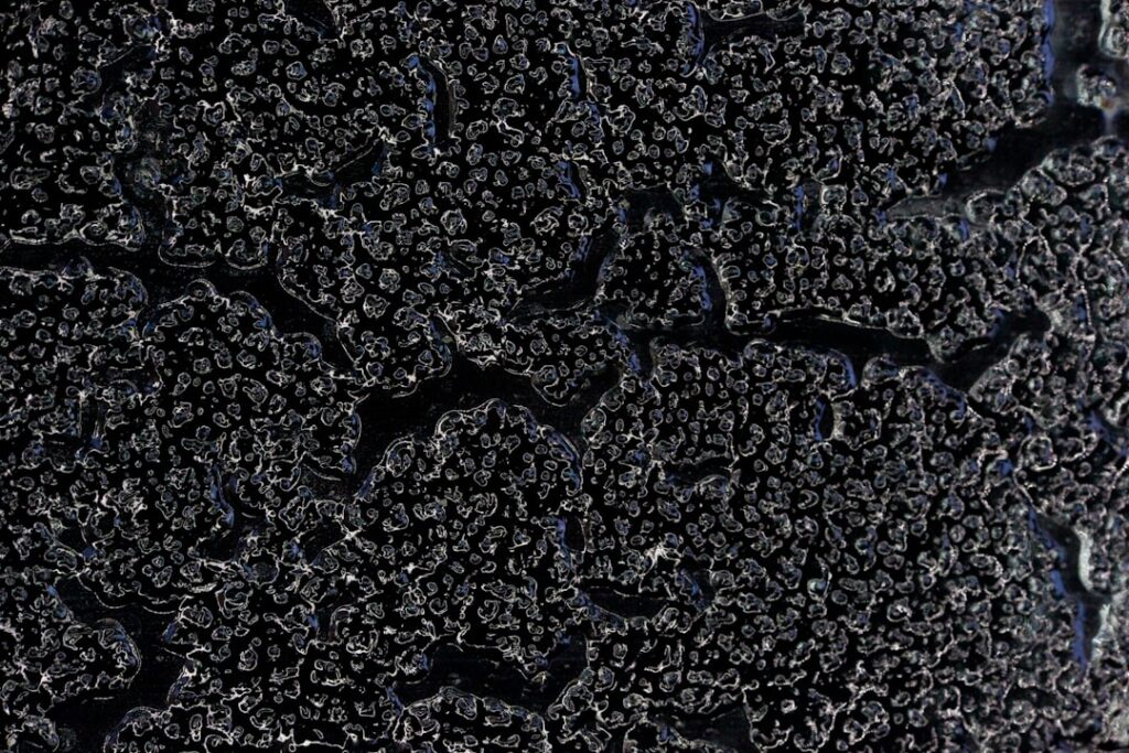 Photo Carbon Footprint Tracking