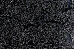 Photo Carbon Footprint Tracking