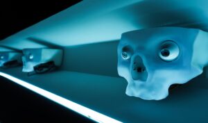 Photo Humanoid Robots