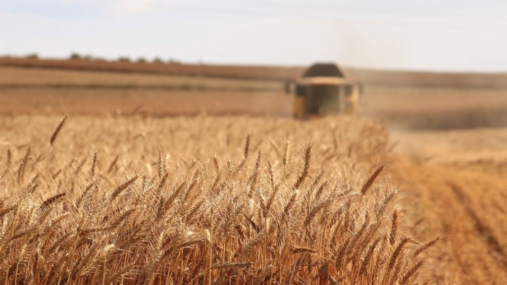 Sustainable Tech Solutions: Precision Agriculture: AI for Sustainable Food Systems