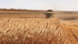 Photo Precision Agriculture