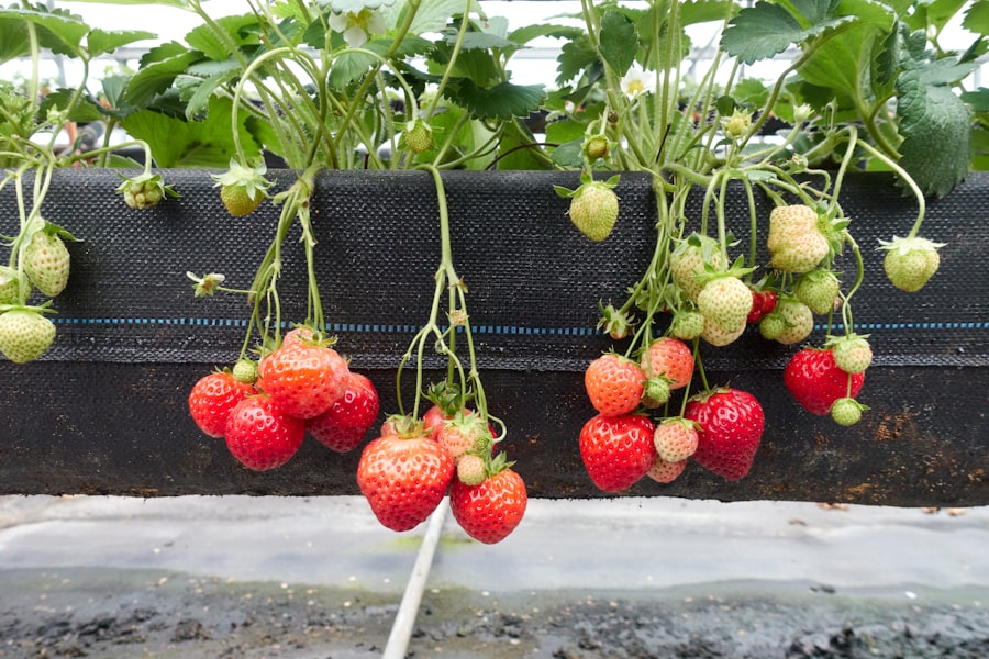 Precision Agriculture