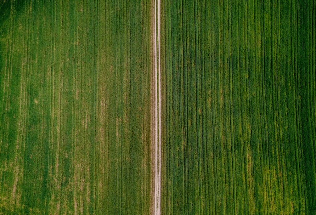 Sustainable Tech Solutions: Precision Agriculture: Using AI to Minimize Resource Waste