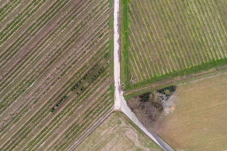 Photo Precision Agriculture