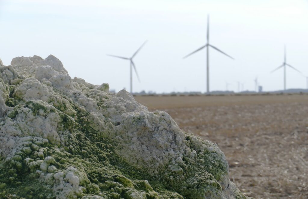 Sustainable Tech Solutions: AI-Driven Carbon Sequestration Monitoring